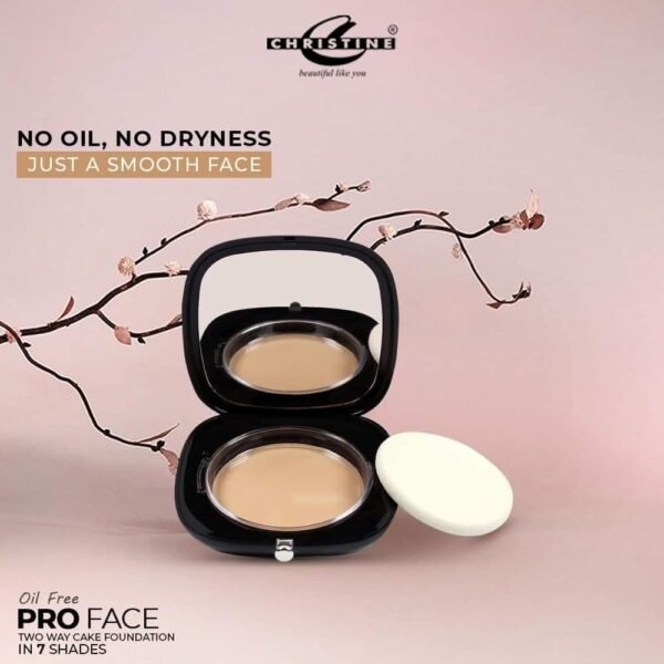 Christine Proface Two-Way Cake 🇵🇰